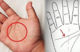 Lòng bàn tay có 4 dấu hiệu này dự báo số mệnh phú quý, sớm muộn cũng phát tài