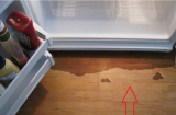 Tủ lạnh bị chảy nước: Đừng vội gọi thợ làm ngay cách này không tốn tiền oan