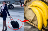 Lý do tiếp viên hàng không thường mang một quả chuối lên máy bay: Hóa ra là vì 1 mục đích quan trọng