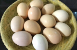 Mẹo bảo quản trứng không cần tủ lạnh, để cả tháng không sợ hỏng