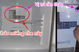 Tủ lạnh có 1 cơ quan ẩn vệ sinh 4 - 5 tháng/lần: Tăng tuổi thọ, tiết kiệm nửa tiền điện hàng tháng