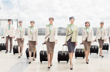 Vì sao tiếp viên hàng không thường mặc váy ngắn khi bay: Có phải họ muốn khoe đôi chân dài?
