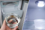Đặt 1 bát nước vào tủ lạnh: Có công dụng quý nhà nào cũng cần dùng mà không biết để áp dụng