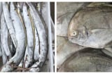 6 loại cá không thể nuôi hóa chất: Bổ như nhân sâm ngàn năm tuổi, đi chợ nhìn thấy đừng tiếc tiền mua