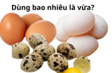 Tối đa một ngày được ăn bao nhiêu quả trứng để an toàn