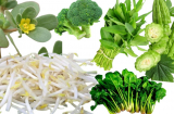 8 loại rau phổ biến khi chế biến nhớ chần qua để tránh độc tố cho cả nhà, không làm có ngày hối hận