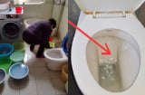 Tại sao bạn tuyệt đối không được đổ nước thải sinh hoạt vào Toilet?