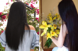 6 thảo dược trị rụng tóc, kích thích mọc tóc: Vừa rẻ vừa an toàn