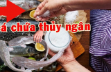 Loại cá 'ngậm' nhiều thủy ngân nhất, ra chợ thấy rẻ mấy cũng đừng tham mua về