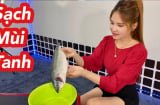 Mẹo khử mùi tanh cá biển nhanh chóng và hiệu quả nhất