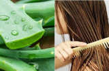 Cách sử dụng 1 loại thảo mộc tốt nhất để điều trị mọi vấn đề về tóc của bạn một cách tự nhiên