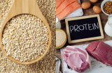 8 loại thực phẩm giàu protein hơn cả trứng, chuyên gia khuyên ăn thường xuyên