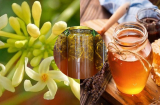 Hoa đu đủ đực ngâm mật ong có 9 công dụng cực quý: Những ai nên ăn?