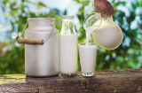 Uống sữa mà thêm 1 thìa này vào vừa giúp sữa ngon hơn công dụng tăng gấp bội bảo vệ xương và tim mạch