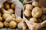 Đừng bảo quản khoai tây trong tủ lạnh, làm theo cách này khoai để vài tháng không bị xanh vỏ, mọc mầm
