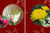 Các cụ dặn: 3 loại hoa đi tảo mộ con cháu được lộc, 2 loại hoa xui xẻo mất hết lộc, hãy nhớ kỹ