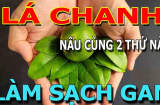Loại lá làm mát gan, nước ngoài 6 triệu/kg, ở Việt Nam mọc dại đầy vườn không ai biết mà hái