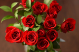 Có nên cắm hoa hồng đỏ lên bàn thờ không?