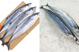 4 loại cá biển thuần tự nhiên, thịt mềm ngon, giàu dinh dưỡng, người khôn thường mua về bồi bổ
