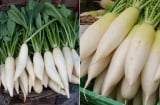 Củ cải trắng bổ như 'nhân sâm' nhưng không được dùng chung với 4 loại thực phẩm này kẻo sinh bệnh