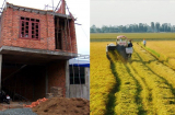 Năm 2024: Trường hợp xây nhà trên đất nông nghiệp bị tháo dỡ và phạt lên tới 500 triệu đồng?