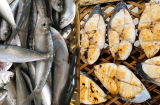 5 loại cá biển ít tanh, cực giàu canxi và omega-3