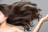 Nếu muốn duy trì vẻ đẹp cho mái tóc, bạn cần ghim ngay 5 tips chống lão hóa tóc hiệu quả sau