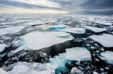Nước biển mặn nhưng tại sao lớp băng trên mặt biển lại là nước ngọt?
