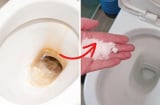 Bồn cầu bẩn,  ố vàng dày đặc: Chỉ cần rắc 1 nắm này vào xả nước là sạch bong