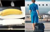 Vì sao tiếp viên hàng không thường mang một quả chuối lên máy bay? Hóa ra để làm 1 việc