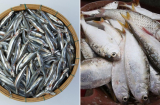 4 loại cá biển ít tanh, ngọt thịt, giàu omega-3