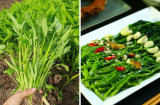 Loại rau ở Việt Nam giá rẻ bèo, bán đầy chợ: Sang Mỹ bán đắt hơn thịt giá 515.000 đồng/kg