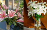 6 loại hoa dù đẹp “mê ly' nhưng chớ dại mà mang trồng trong nhà, vừa tốn thời gian, vừa hại sức khoẻ