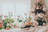 6 loại hoa kiêng kỵ để trong phòng ngủ, nó có thể gây nguy hiểm cho bạn