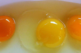 Lòng đỏ trứng gà màu càng đậm thì có giá trị dinh dưỡng càng cao?