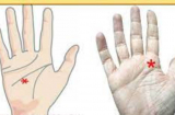 5 dấu hiệu trên bàn tay số hưởng, dễ thành đại gia nhưng có 2 điểm này dự báo cuộc đời vất vả