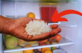 Đặt 1 bát muối trong tủ lạnh: Công dụng tuyệt vời nhà ai cũng muốn làm theo
