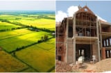 Từ nay trở đi: 8 trường hợp xây nhà trên đất nông nghiệp bị tháo dỡ và phạt năng, ai cũng nên biết sớm