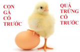 Con gà có trước hay quả trứng có trước: Đáp án chính xác khiến bạn phải bất ngờ