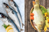 Ăn cá nước mặn hay cá nước ngọt tốt hơn cho sức khỏe?