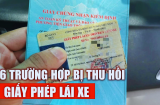 Kể từ 1/6: 6 trường hợp bị thu hồi Giấy phép lái xe, ai cố giữ lại sẽ bị phạt rất nặng