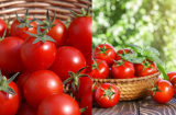 Cà chua cất tủ lạnh là dại, học nông dân làm cách này bảo quản cà chua nhiều tháng tươi ngon giàu dinh dưỡng