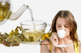 7 loại trà chăm sóc làn da sáng khỏe và mịn màng