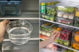 Ban đêm đặt một bát nước vào tủ lạnh, cách hay giúp tiết kiệm điện mà không phải ai cũng biết