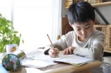 7 cách giúp trẻ ham học để con đạt kết quả cao