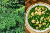 Loại rau là 'tổ yến thực vật' có canxi gấp 4 lần sữa: Chợ Việt Nam bán đầy nhiều người không biết mà ăn