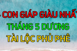 Tháng 5 dương Thần Tài mở lối: 4 tuổi phú quý cát tường, giàu sang bám gót, tiền nhiều vô kể