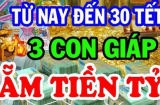 Từ tháng 4 âm tới Tết 2025: 3 tuổi vận đỏ tiền nhiều như nước, đặc biệt tuổi số 2