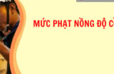 Năm 2024, mức phạt nồng độ cồn vượt mức khi đi xe máy, ô tô là bao nhiêu tiền?