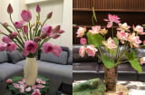 Hoa sen trong phong thuỷ: Nét đẹp thanh cao mang lại may mắn, an khang cho gia chủ